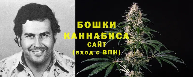 Бошки марихуана SATIVA & INDICA  Апрелевка 